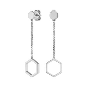Earrings image